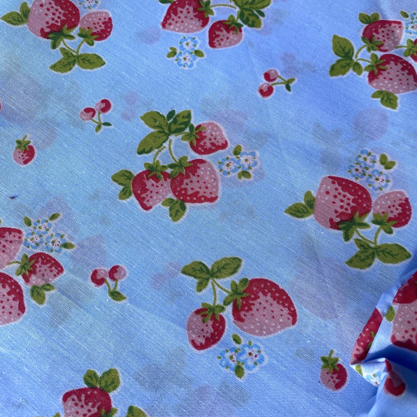 Strawberry Scrunchie